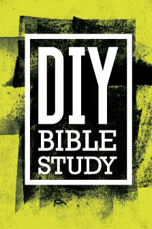 DIY Bible Study (4 vols.)