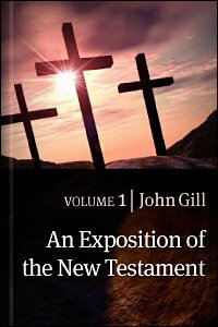 An Exposition of the New Testament, Volumes 1–3