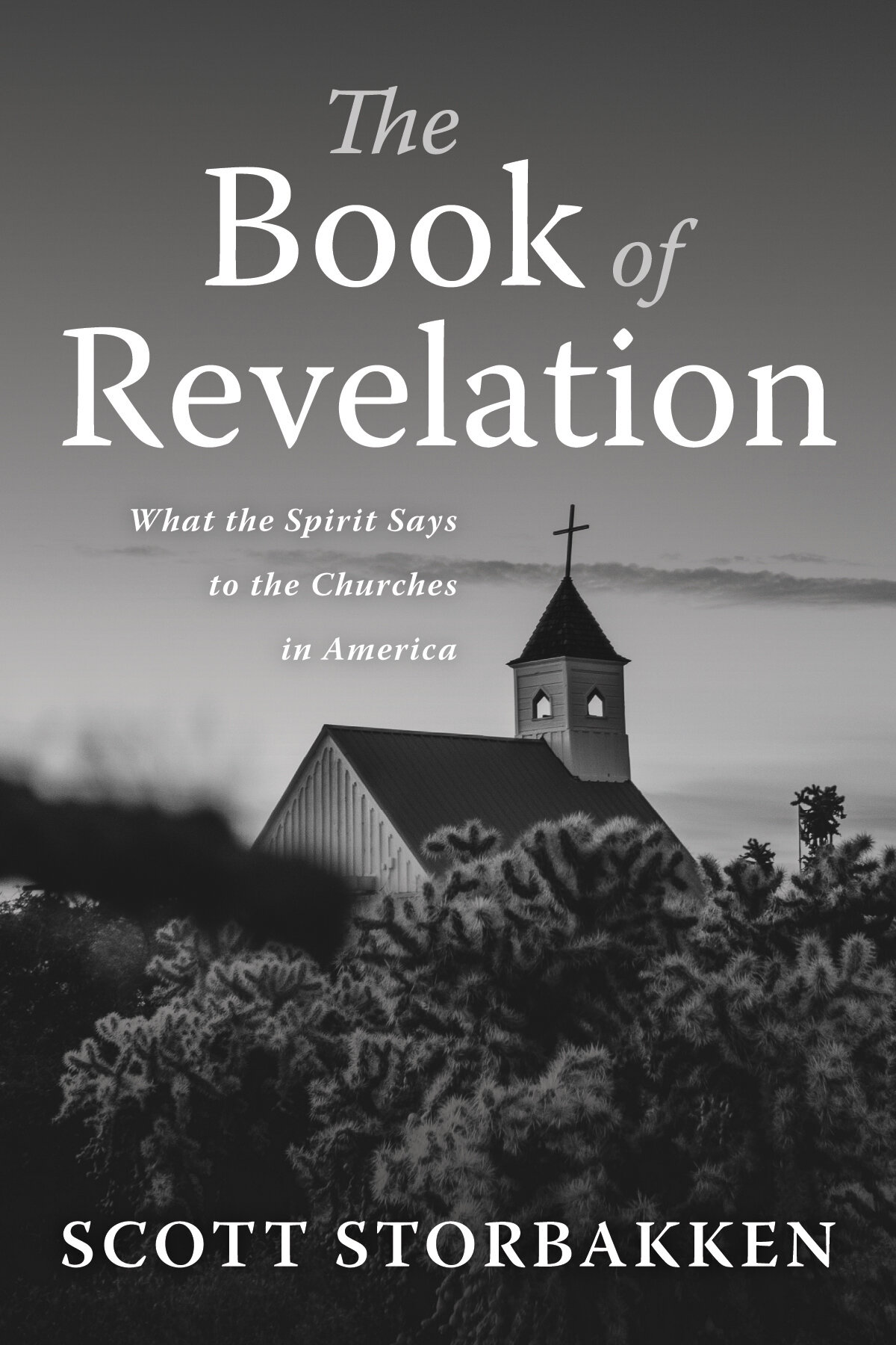 The Book of Revelation: What the Spirit Says to the Churches in America ...