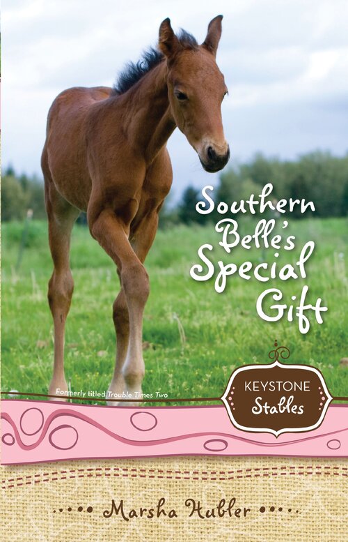 Southern Belle's Special Gift: Keystone Stables