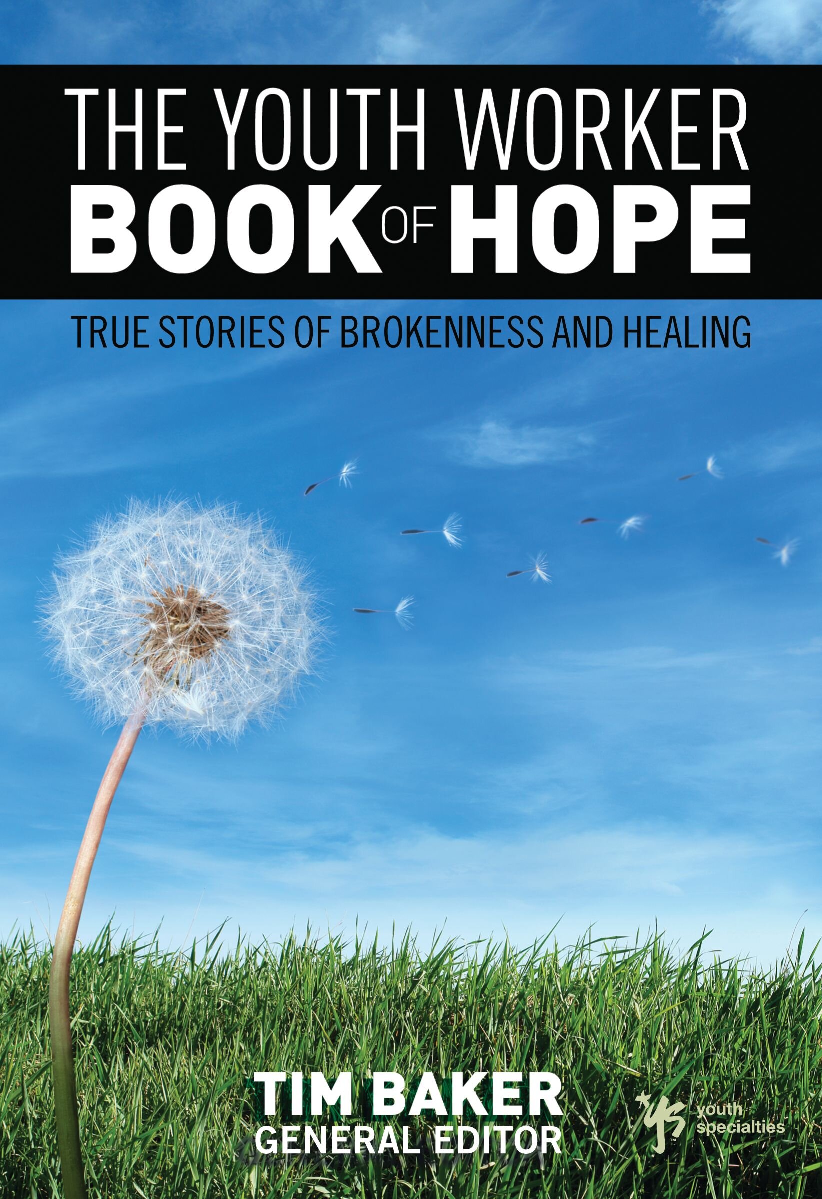 The Youth Worker Book of Hope: True Stories of Brokenness and Healing