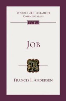 wisdom literature book of job commentary 