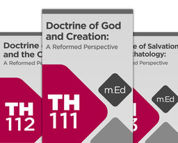 Mobile Ed: Systematic Theology Bundle (3 courses)