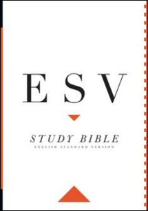 ESV Study Bible (Notes only)