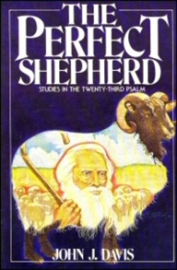 The Perfect Shepherd