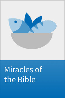 Miracles of the Bible Interactive