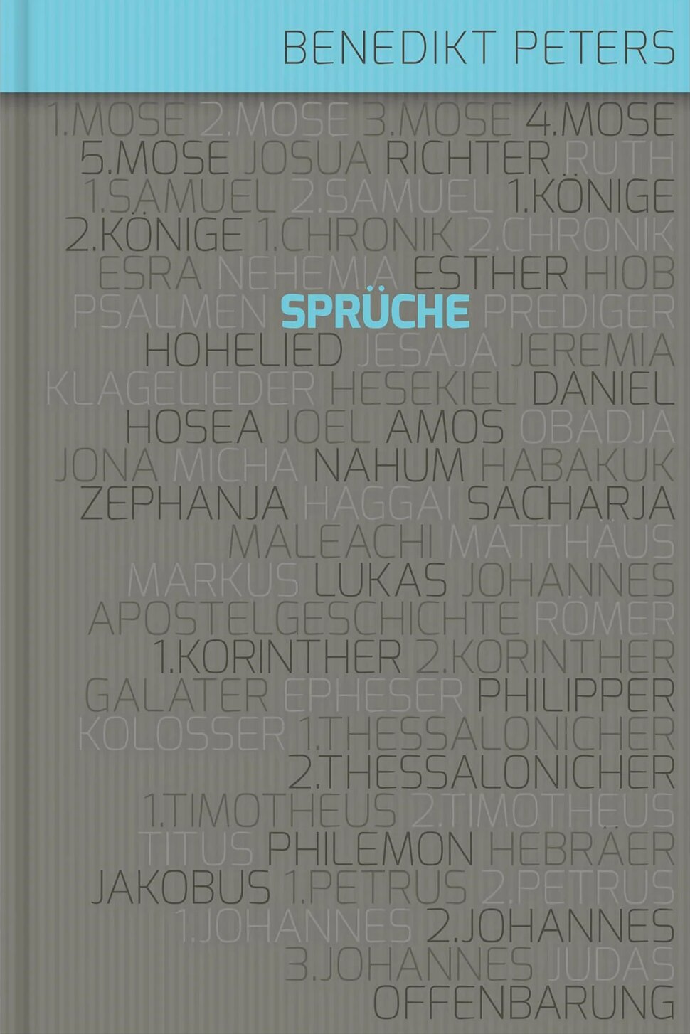 Kommentar zum Buch Sprüche