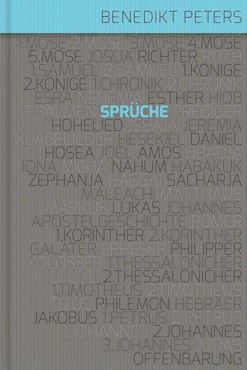 Kommentar zum Buch Sprüche