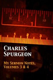 My Sermon Notes, Volumes 3 & 4: Matthew to Revelation