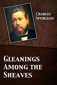 Gleanings Among the Sheaves