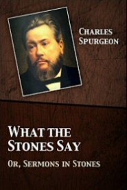 What the Stones Say: Or, Sermons in Stones