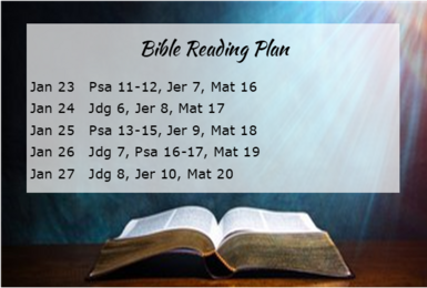 Bible Reading