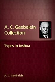 Types in Joshua