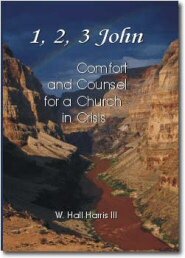 1, 2, 3 John Commentary