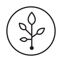 Regeneration Logo