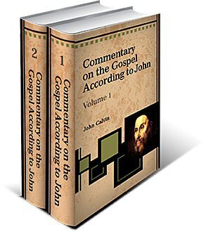 Commentary on the Gospel According to John, 2 Vols. (Calvin's Commentaries)