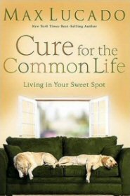 Cure for the Common Life: Living in Your Sweet Spot