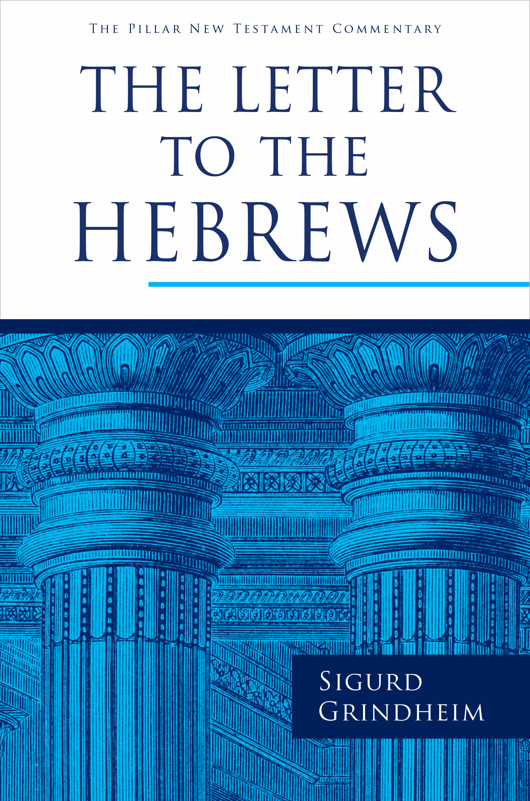 The Letter to the Hebrews (Pillar New Testament Commentary | PNTC)