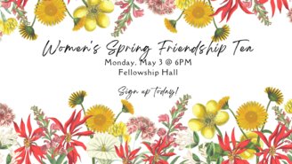 Women's Spring Friendship Tea - 1