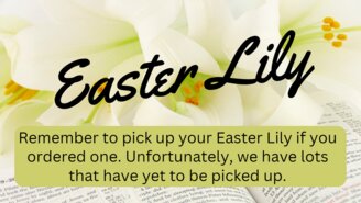Easter Lily Orders Due Sunday, March 26Th, 2023