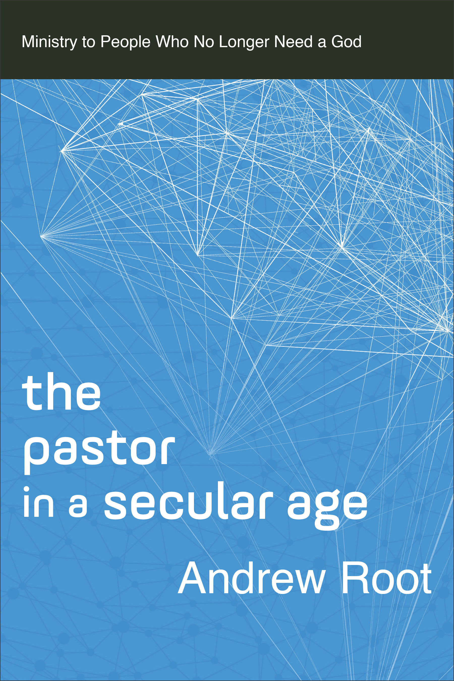 The Pastor in a Secular Age: Ministry to People Who No Longer Need a God (Ministry in a Secular Age)