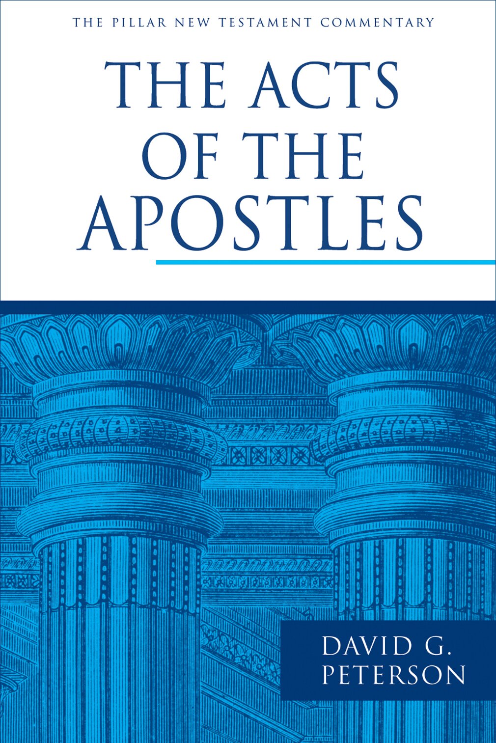 The Acts of the Apostles (Pillar New Testament Commentary | PNTC)