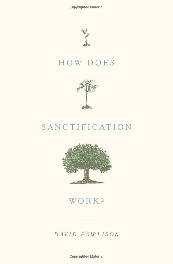 How Does Sanctification Work?