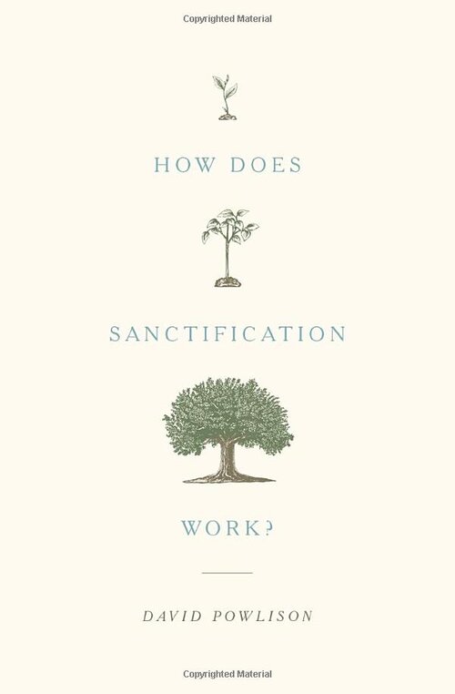 How Does Sanctification Work?
