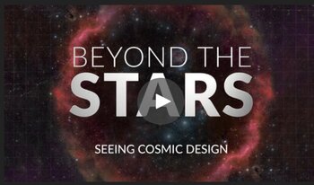 Beyond The Stars