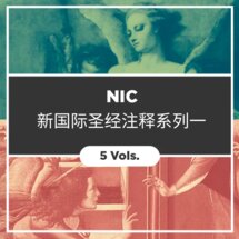 新国际圣经注释系列一 (简体) (5册)The New International Commentary (NIC, Simplified Chinese) (5 vols)