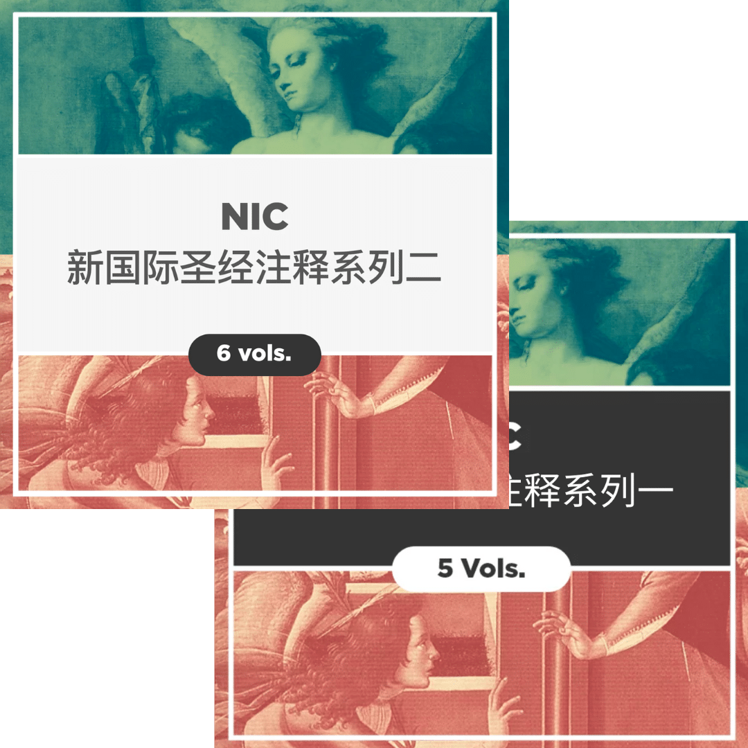 NIC 新国际圣经注释系列一和二