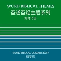 圣道圣经主题系列（简体）Word Biblical Themes Collections（Simplified Chinese）