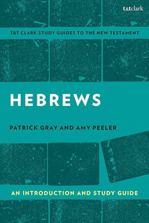 Hebrews: An Introduction and Study Guide (T&T Clark Bible Guides Series)