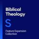 Biblical Theology Feature Expansion, S