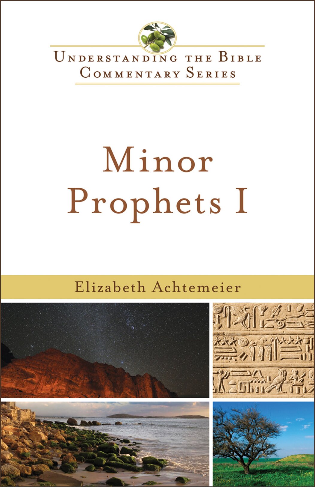 Minor Prophets I (Understanding the Bible Commentary | UBC)