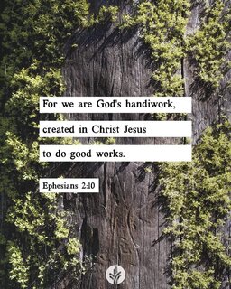 FB IMG 1705278164433