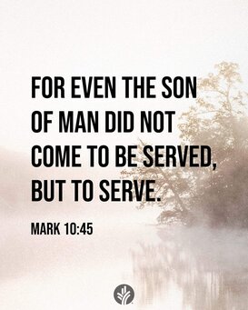 FB IMG 1705559969929