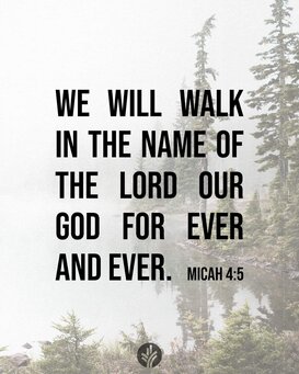 FB IMG 1705970031837