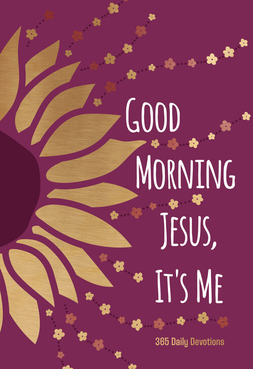 Good Morning Jesus It’s Me: 365 Daily Devotions