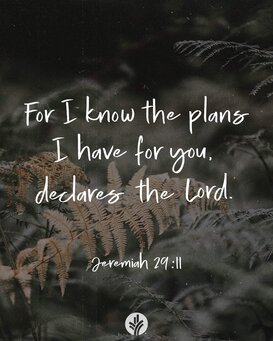 FB IMG 1706145306935