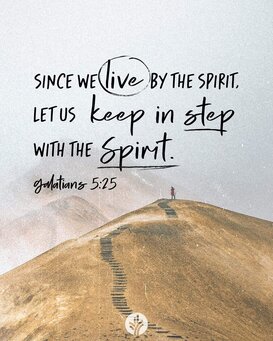 FB IMG 1706507209637