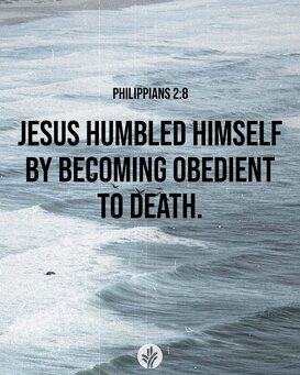 FB IMG 1706748313049