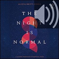 The Night Is Normal: A Guide through Spiritual Pain (audio)