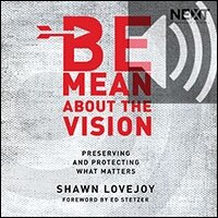Be Mean About the Vision: Preserving and Protecting What Matters (Audio)