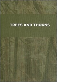 Trees and Thorns: Studies in the First Four Chapters of Genesis