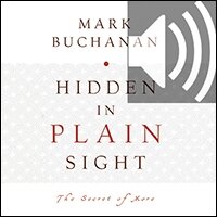 Hidden in Plain Sight: The Secret of More (Audio)