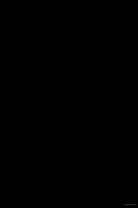 Gesenius's Hebrew and Chaldee lexicon to the Old Testament Scriptures