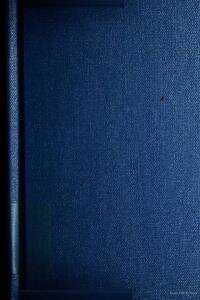 The First Epistle of Peter : a devotional commentary