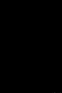 A text-book of North-Semitic inscriptions: Moabite, Hebrew, Phoenician, Aramaic, Nabataean, Palmyrene, Jewish