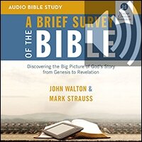 A Brief Survey of the Bible: Discovering the Big Picture of God’s Story from Genesis to Revelation | Audio Bible Studies (audio)